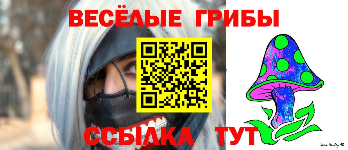 Галлюциногенные грибы мицелий Псков