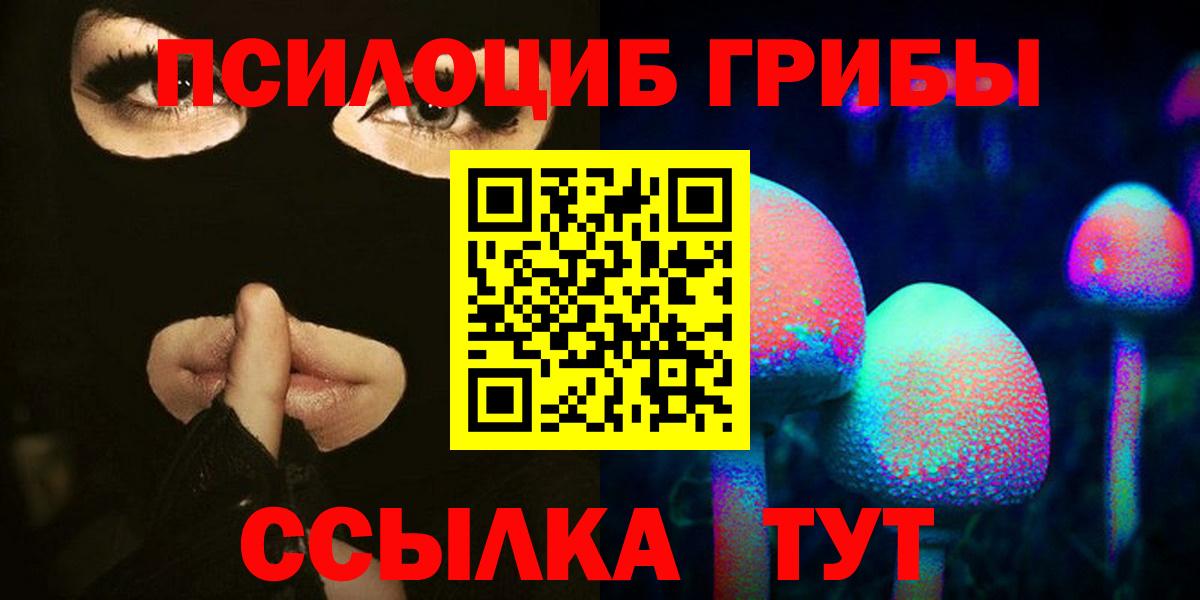 Псилоцибиновые грибы Cubensis  Вход с VPN  Псков 